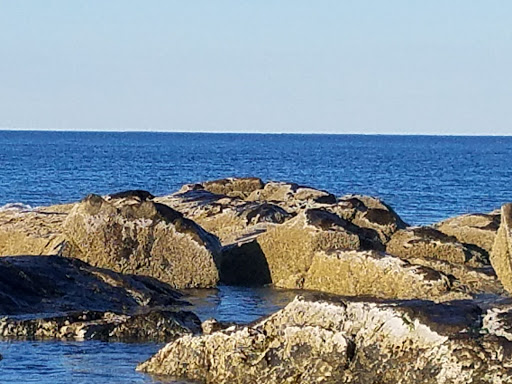 Blue Ocean Discovery Center