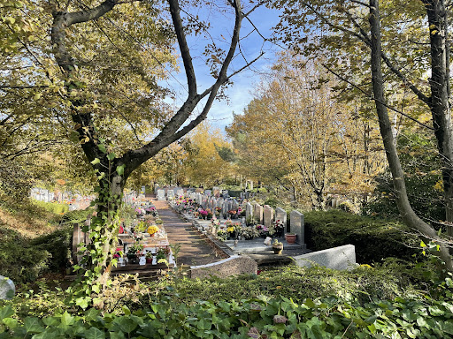 Cimetière Communautaire de Bron - Thumbnail