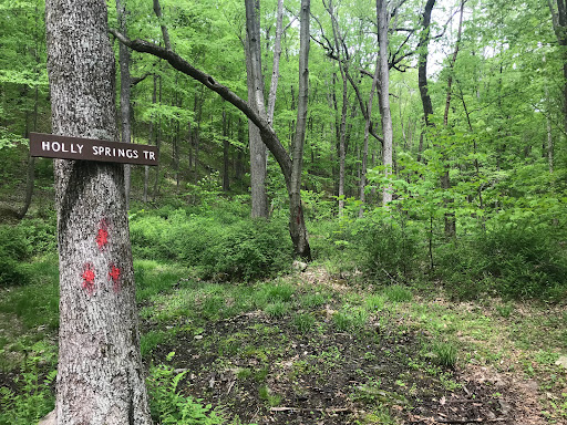 Holly Springs Trail - Thumbnail