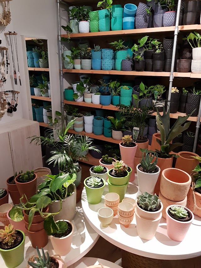 Jones & Co