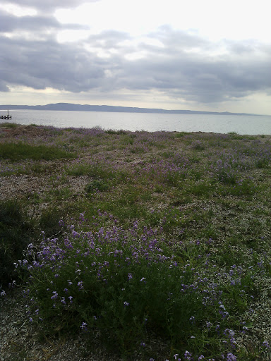Isolflor - Visual