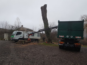 Photo n°11 de Saône Elagage à Guéreins (Exploitation forestière)