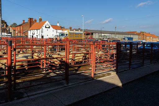 The Shambles Car Park (2 hours free parking) - Thumbnail