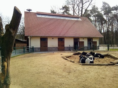 Photos of Cottbus Zoo