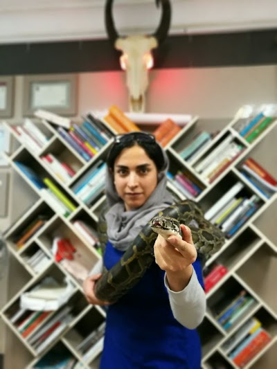 Photos of کلینیک دامپزشکی ژاوه