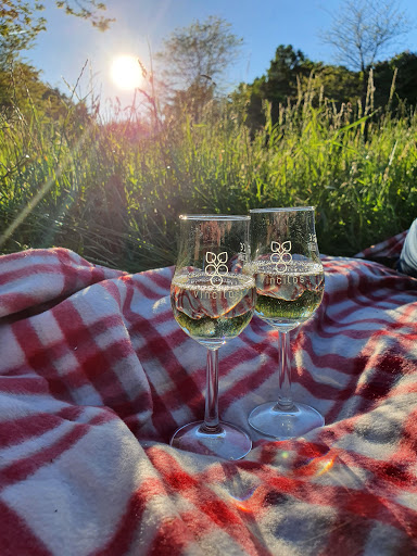 vincitos - Visual