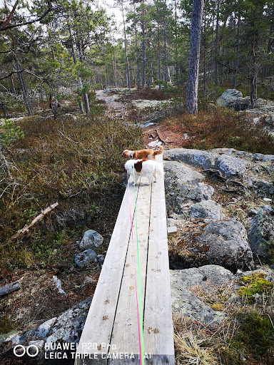 Tångbergets Naturreservat - Thumbnail