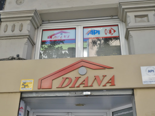 Diana Finques - Thumbnail