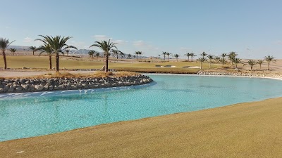 Photos of Aqaba Bird Observatory
