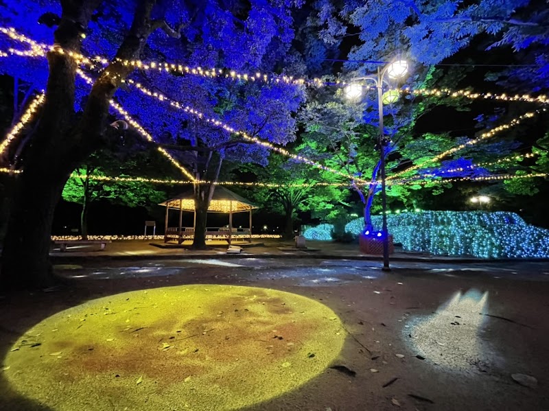 (株)ファーストディレクション