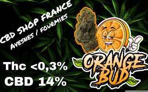 Photo n°12 de CBD Shop France Avesnes-sur-Helpe à Avesnes-sur-Helpe (Magasin de cannabis)