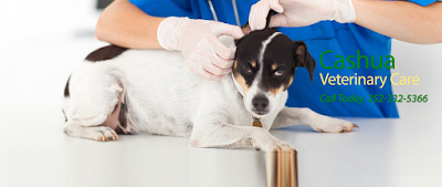 Cashua Veterinary Care