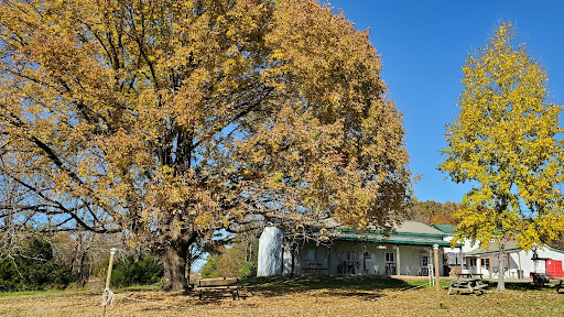 Hickory Hill Vineyards