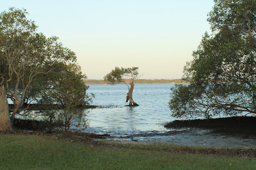 Murray's Beach - Visual