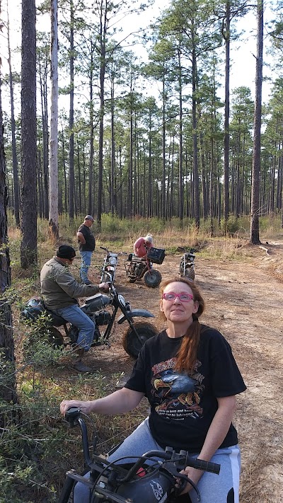 Little Tiger ATV Trail - Desoto National Forest