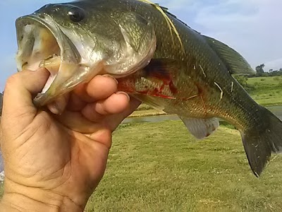 Maskenthine Lake Recreation Area