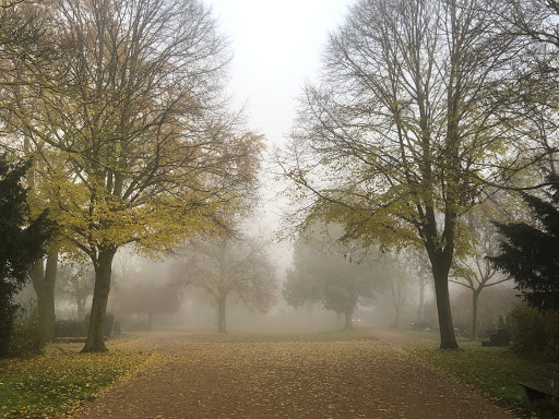 Friedhof Kleve - Thumbnail
