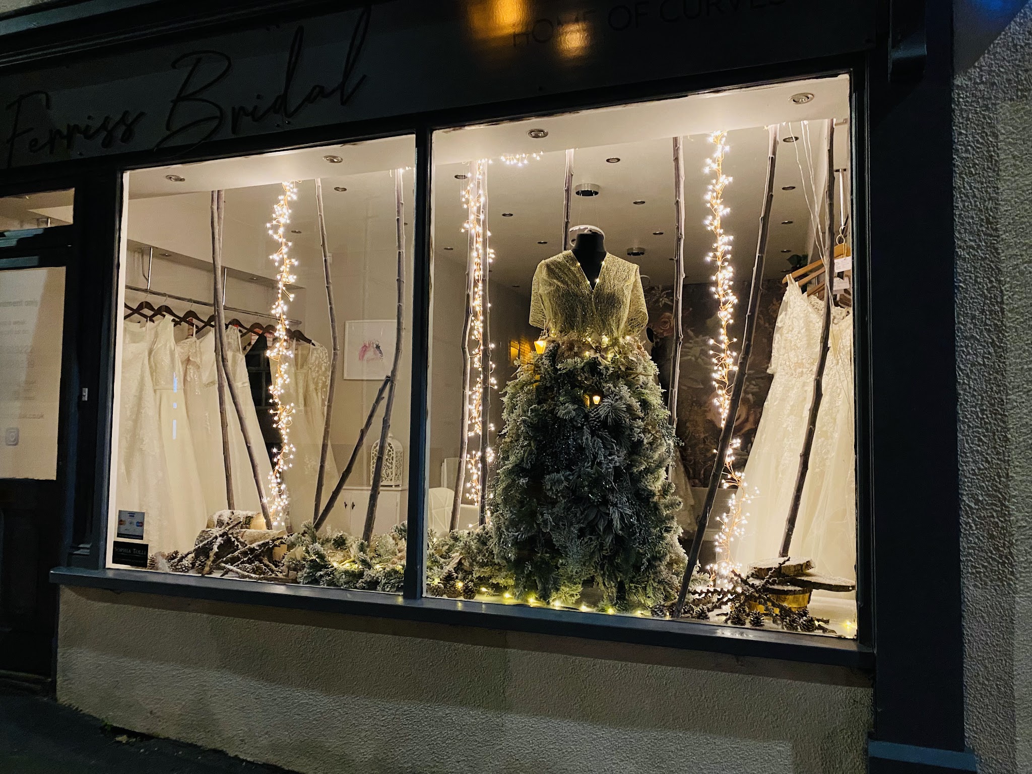 Ferriss Bridal - Home of Curves - Bridal Fashion - photo 1