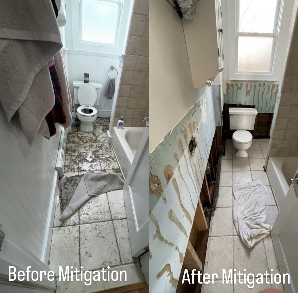 Premium Mitigation & Restoration photo