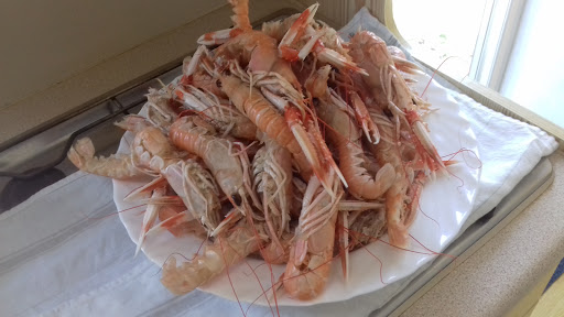 Photo de Camping Les Sables Blancs à Plobannalec (29740)