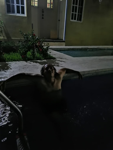Hotel Abreu - Thumbnail
