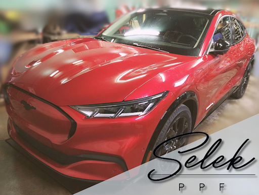 Selek PPF - Visual