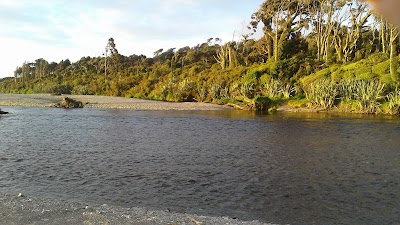 Photos of Curly Tree Whitebait Company