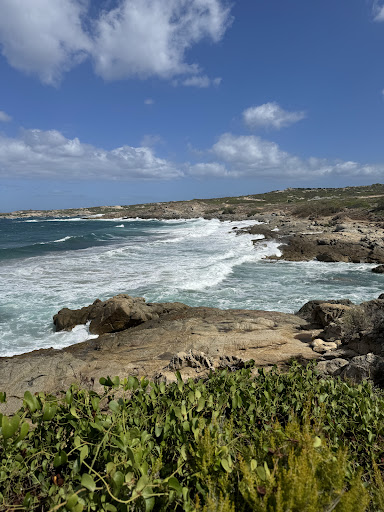 Photo de Plage de Sant'Ambroggio à Lumio (20260)