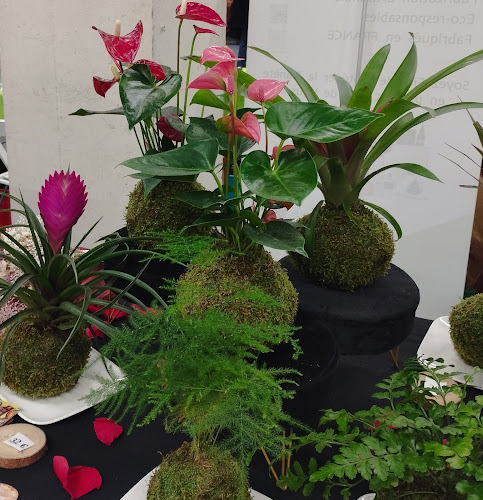 Opinii despre Faites une fleur Atelier floral în Strasbourg - Fleuriste