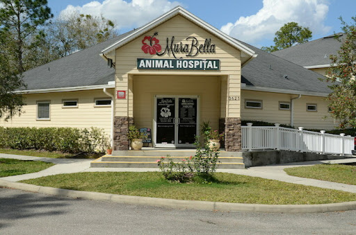 MuraBella Animal Hospital - Thumbnail