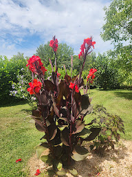 Photo n°21 de Auberge des Pensees à Roquebrune (Centre de retraite)