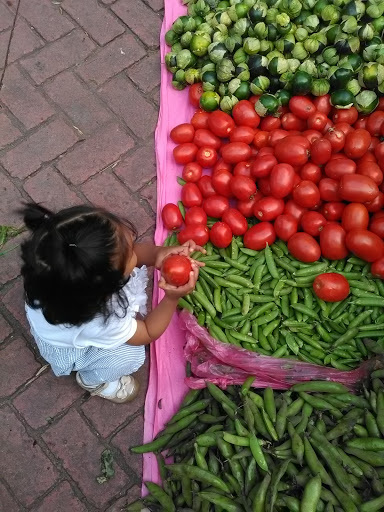 TEMASCALTEPEC, GUIA TURISTICA - Thumbnail