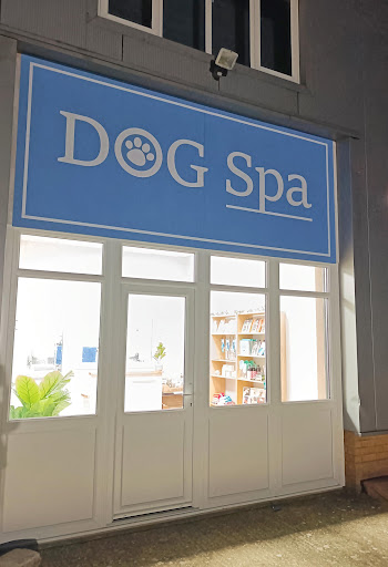 Dog Spa