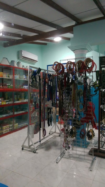 Photos of Negombo Animal Hospital