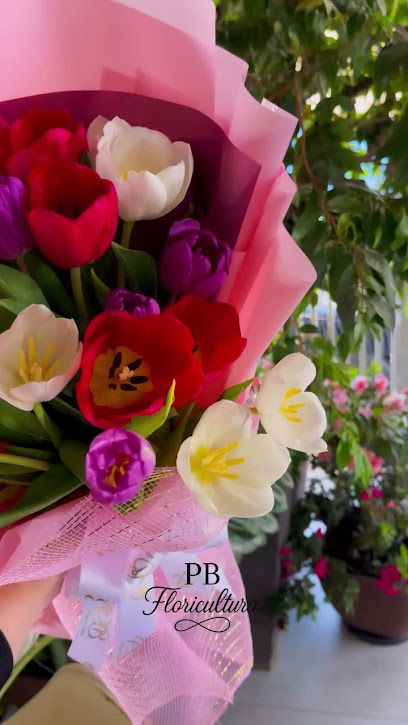 PB FLORICULTURA E DECORAÇÕES