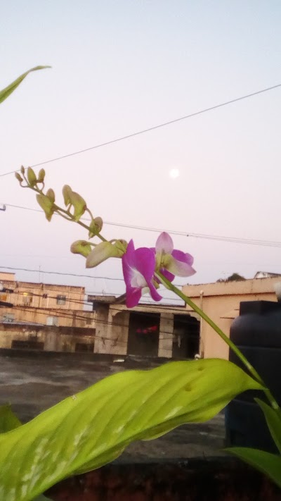 Photos of Las Caobas Ecological Park