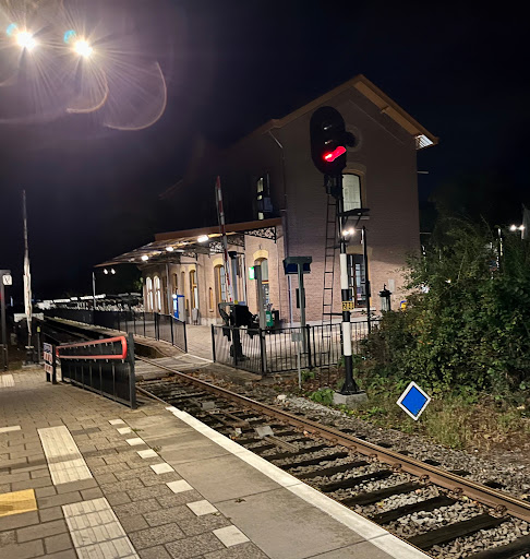 Delden - Visual