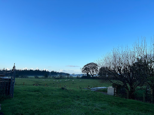 New House Caravan Park - Thumbnail