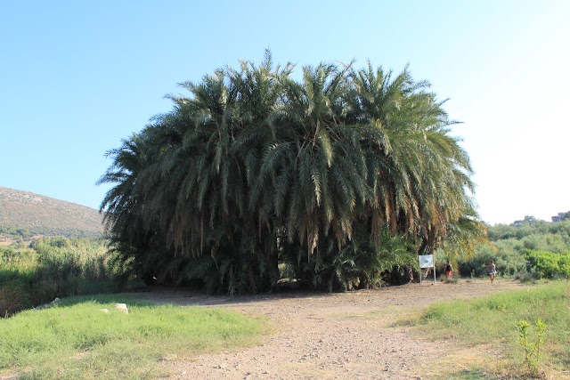 Patara Antik Kenti