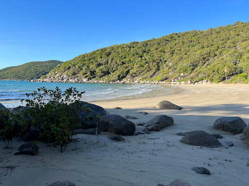 Cherry Tree Bay