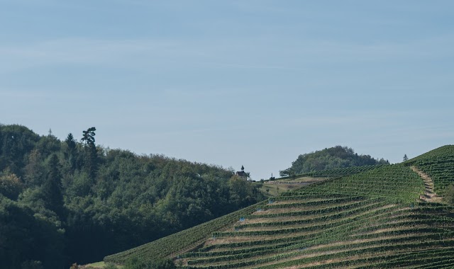 Schwarzwälder Waldhüttenzauber Baumhaushotel