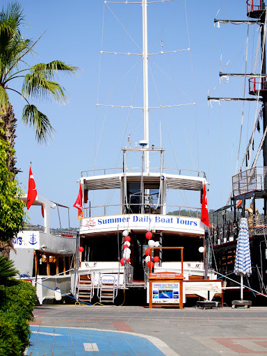 Summer Daily Boat