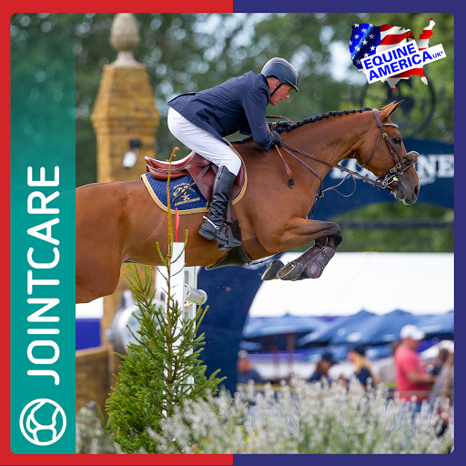 Equine America Gallery - United Kingdom
