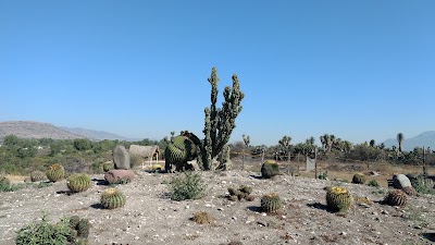Photos of Park Ecoturistico "The Eagle"