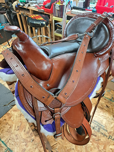Evolutionary Saddles LLC - Thumbnail