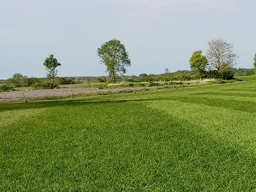 Weavers Meadow Camping