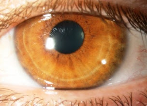 Photo n°1 de Cabinet d'Ophtalmologie Thiers Bordeaux à Bordeaux (Chirurgien)