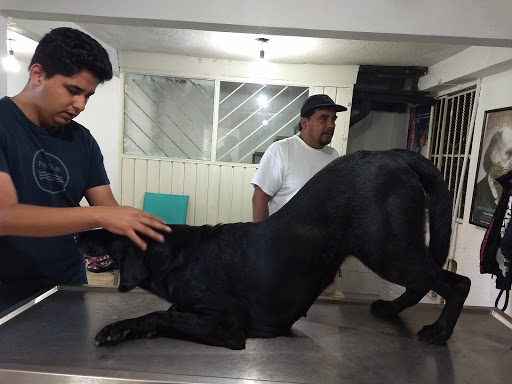 Clínica Veterinaria Kan