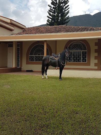 Photos of Criadero La Martina 🐎