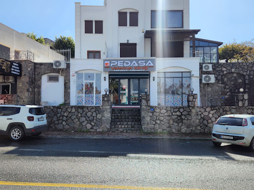 Pedasa Veteriner Kliniği